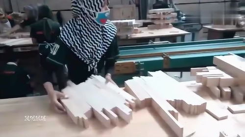 實(shí)拍國(guó)外木材加工廠 剝皮機(jī)展現(xiàn)的高效與高級(jí)質(zhì)感
